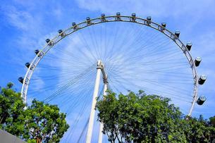 В парке «Центральный» города Ставрополя появится «колесо обозрения»