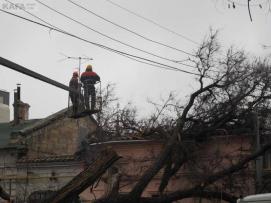 Упавшее дерево повредило линию электропередач в Архызе