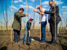 Крупнейший в России грушевый сад появится в Карачаево-Черкесии