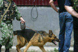 Вторая бомба около магазина «Кристалл» в Махачкале оказалась муляжом