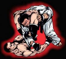 Во Владикавказе проходит турнир по грэпплингу